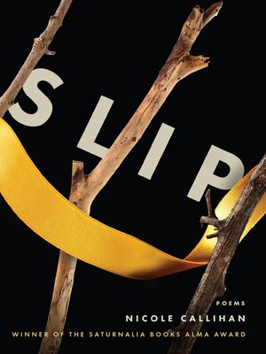 cover image of SLIP